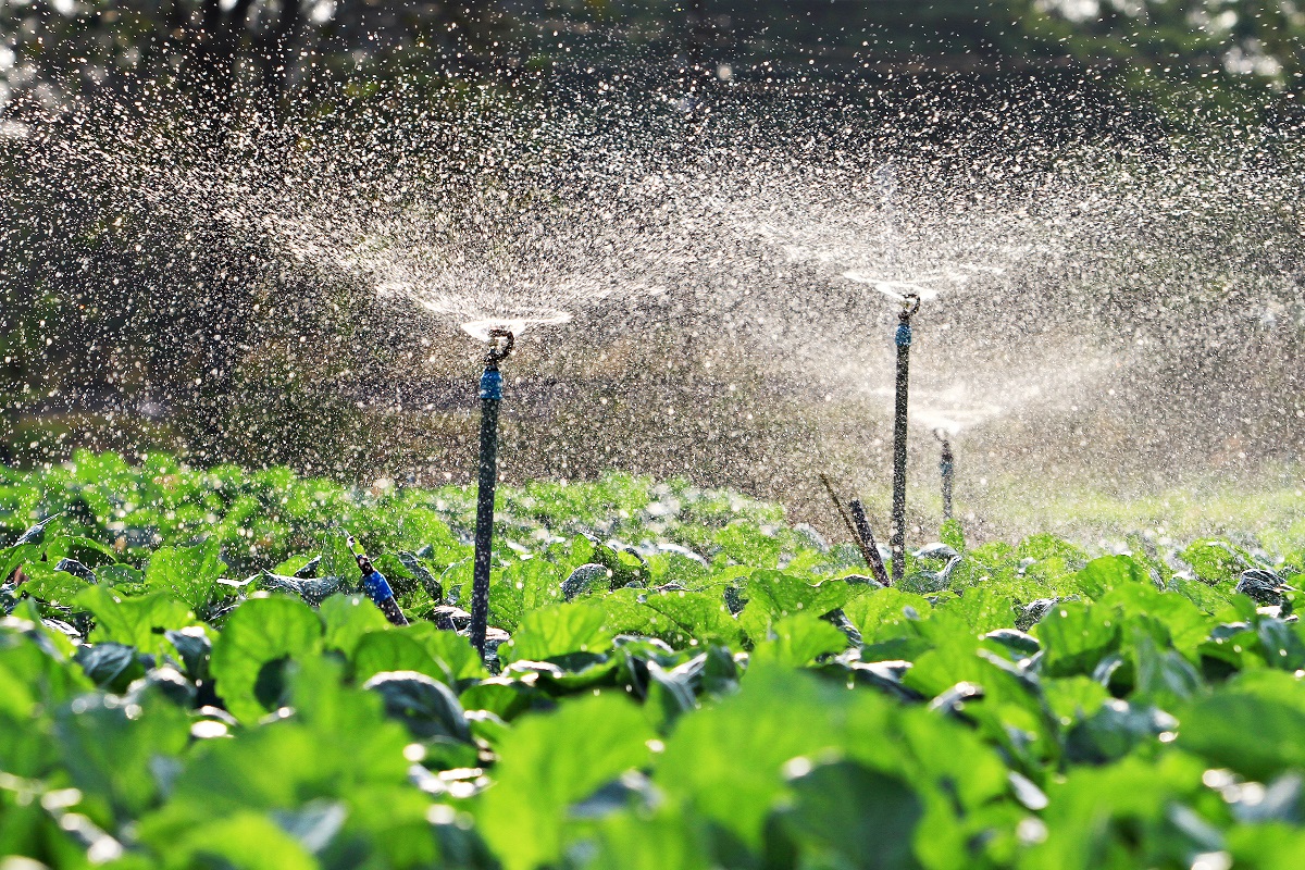 Irrigation systems